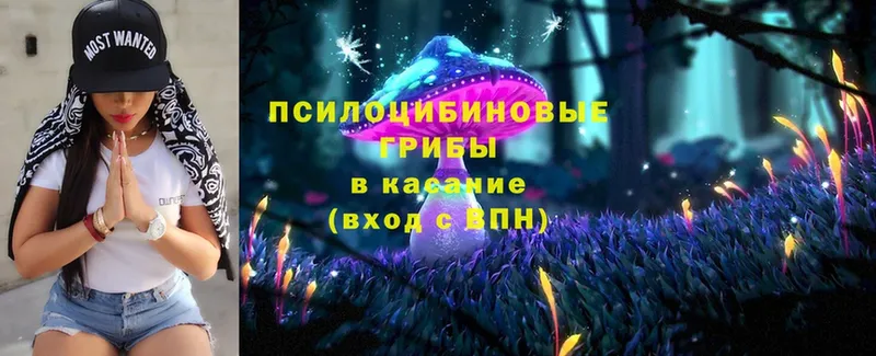 наркота  Балабаново  mega как войти  Галлюциногенные грибы Magic Shrooms 